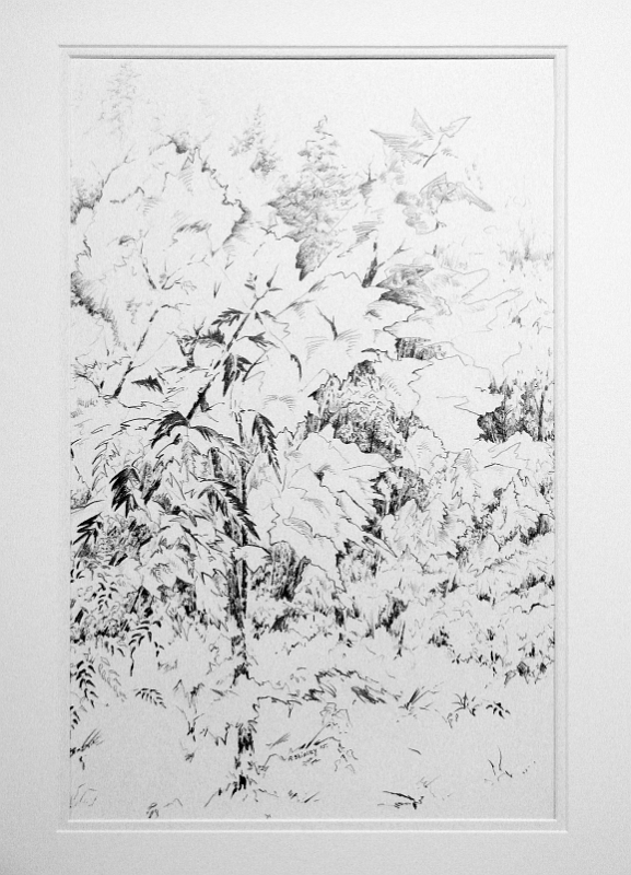 Woods 6, 19x12 inches, graphite pencil, 2015.JPG